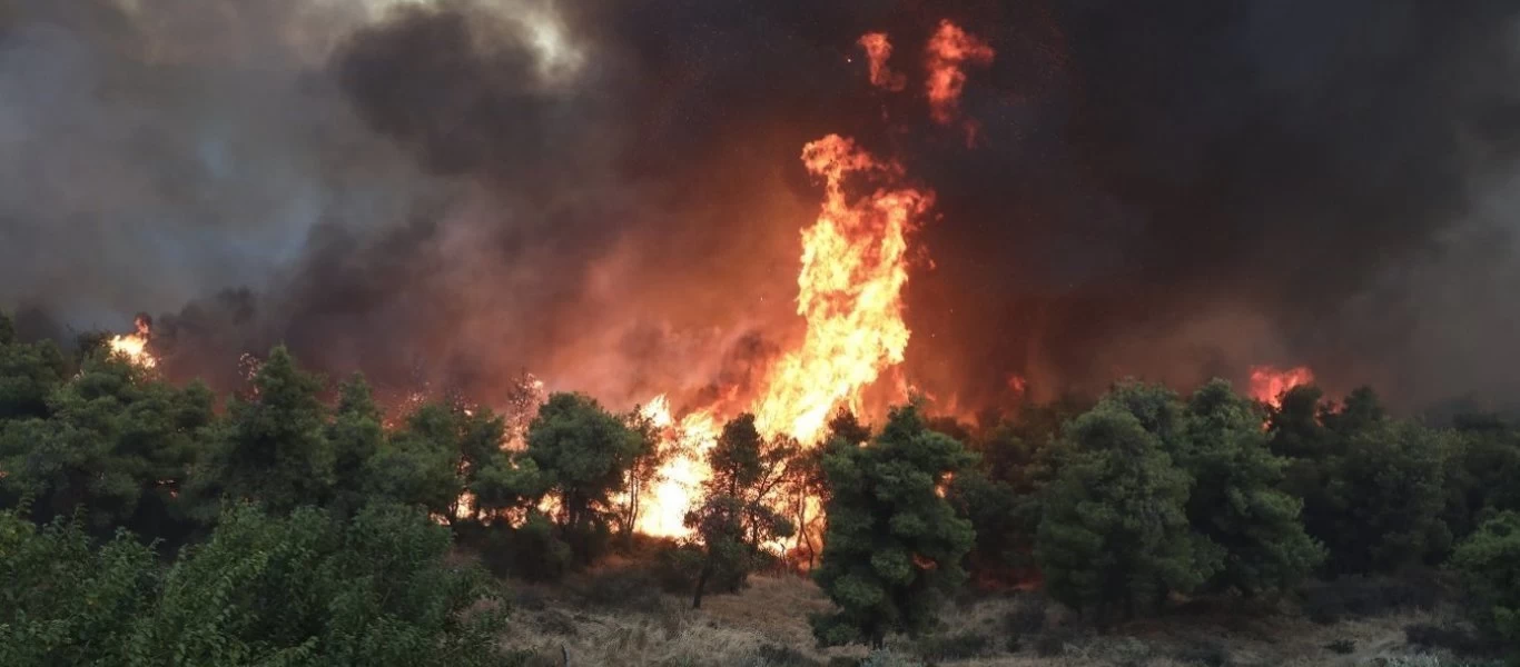 Εύβοια: Άμεση κινητοποίηση της Πυροσβεστικής - Ξέσπασαν δύο φωτιές στα Πολιτικά